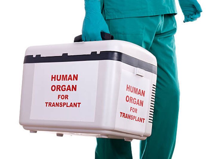 Global Organ Transplant Guide