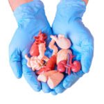 Living Donor Transplant in China