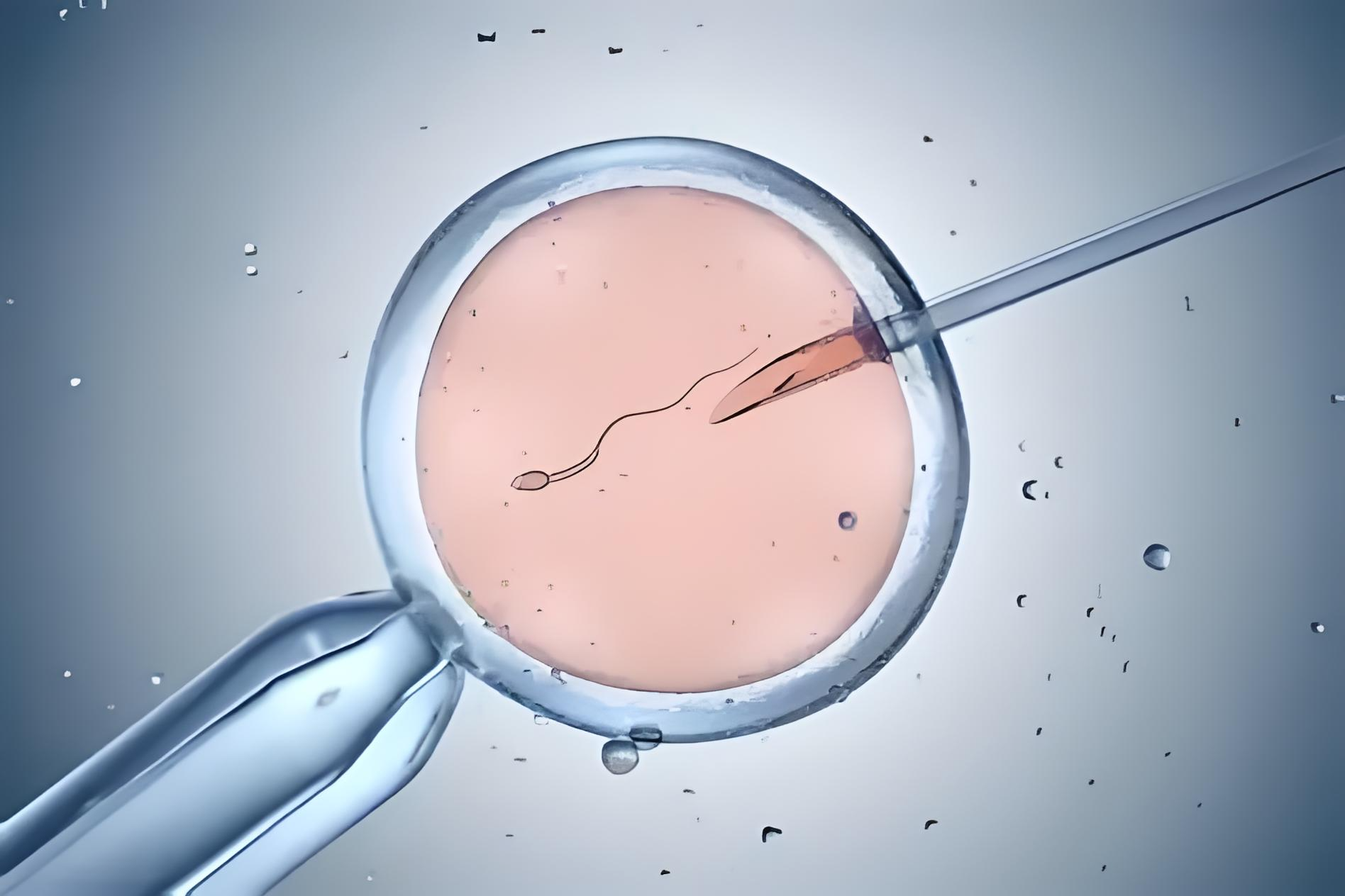 Test-tube babies and reproduction