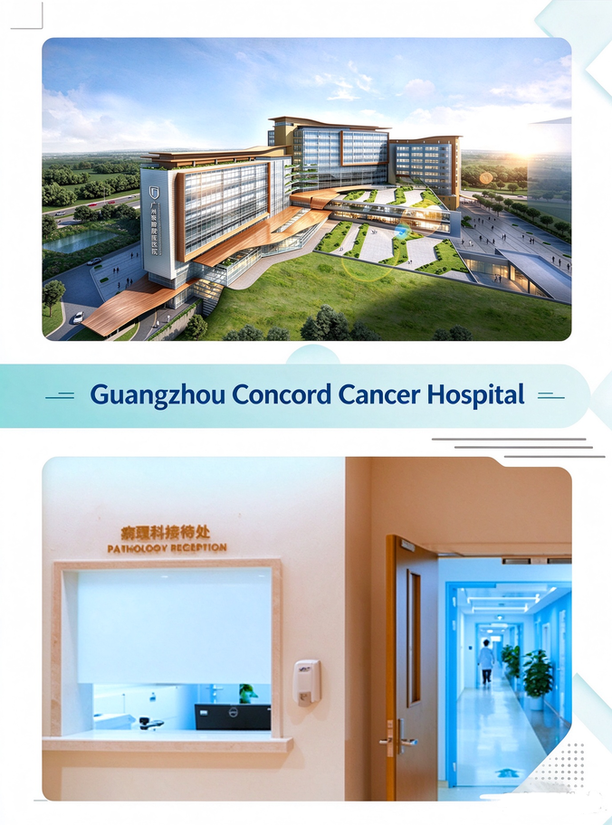GuangzhouConcord GuangzhouConcord