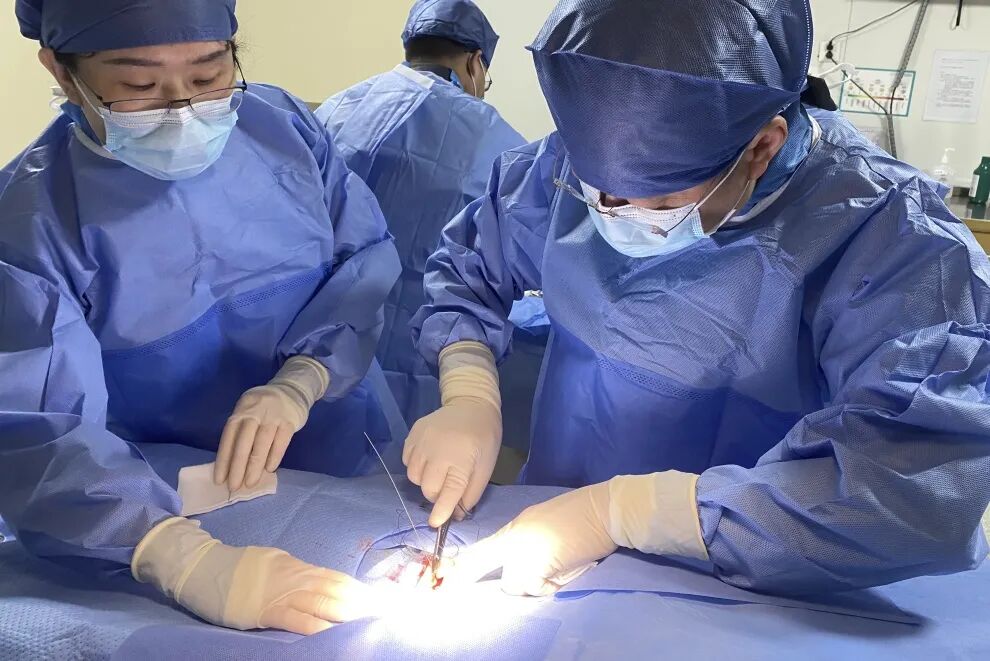 Shulan (Hangzhou) hospital